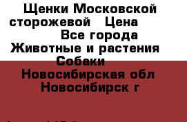 Щенки Московской сторожевой › Цена ­ 35 000 - Все города Животные и растения » Собаки   . Новосибирская обл.,Новосибирск г.